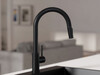Grifo de cocina con caño extraíble 2 tipos de chorro Primagran 9010