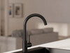 Grifo de cocina Primagran 5010